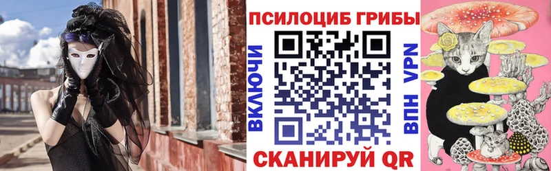 Купить где  Фокино  Псилоцибиновые грибы Magic Shrooms 